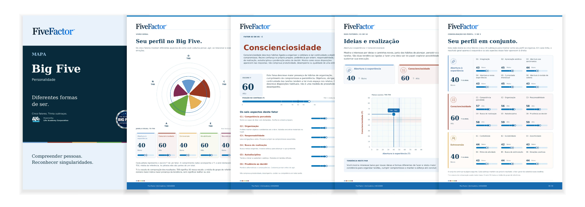Capa do Mapa Big Five e páginas de visão geral, Consciênciosidade, ideias e realização e perfil em conjunto